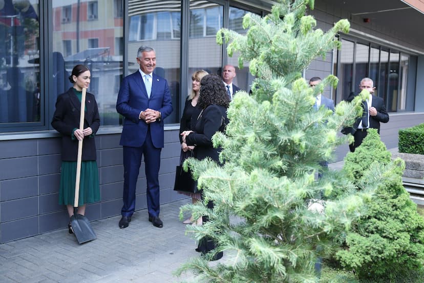 Predsjednik Đukanović zasadio drvo prijateljstva u bašti Vladinog kompleksa