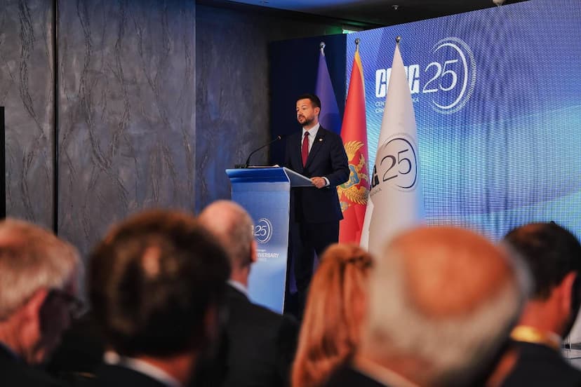 MILATOVIĆ: NEMA EVROPSKE CRNE GORE BEZ SNAŽNIH INSTITUCIJA