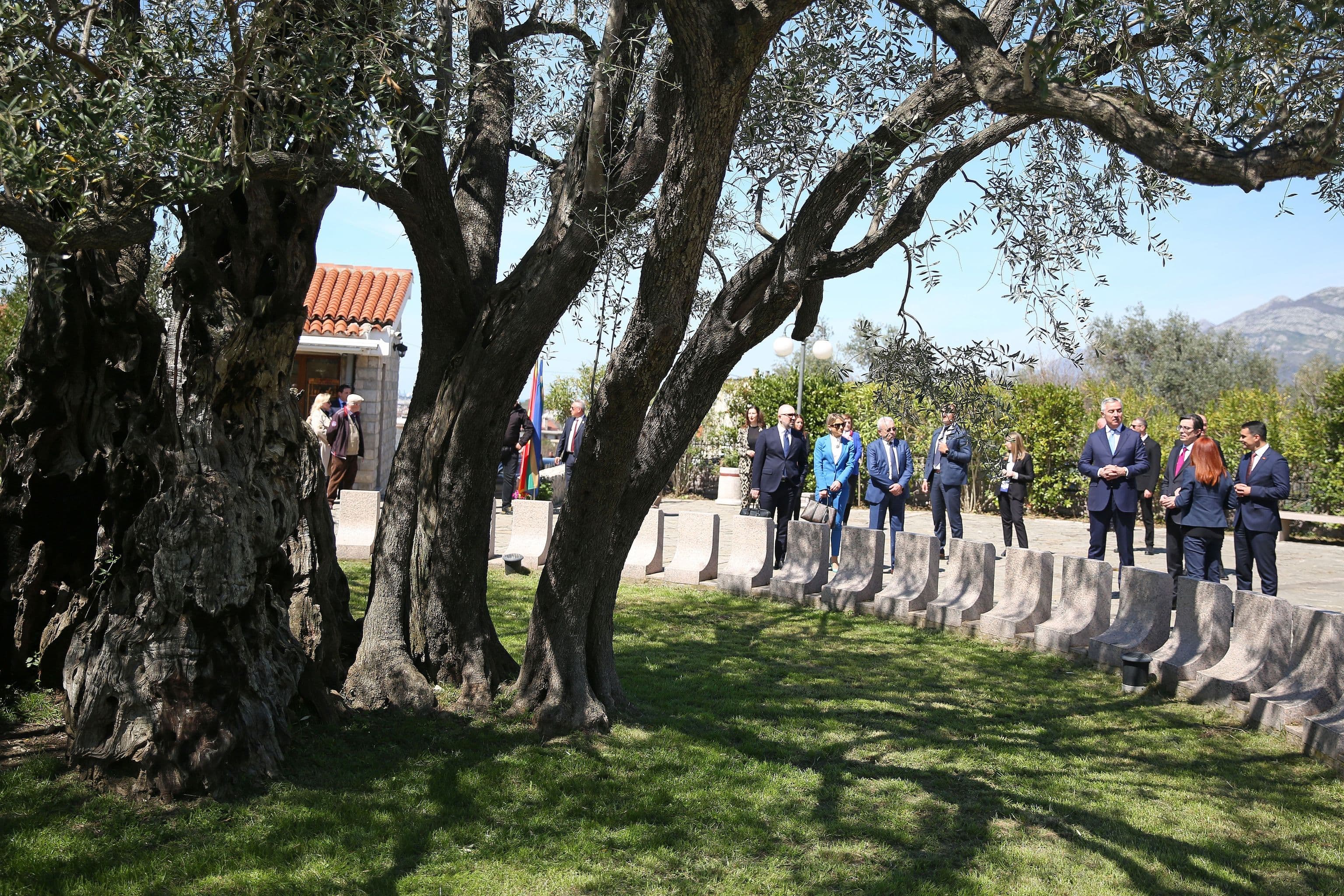Gallery image 4