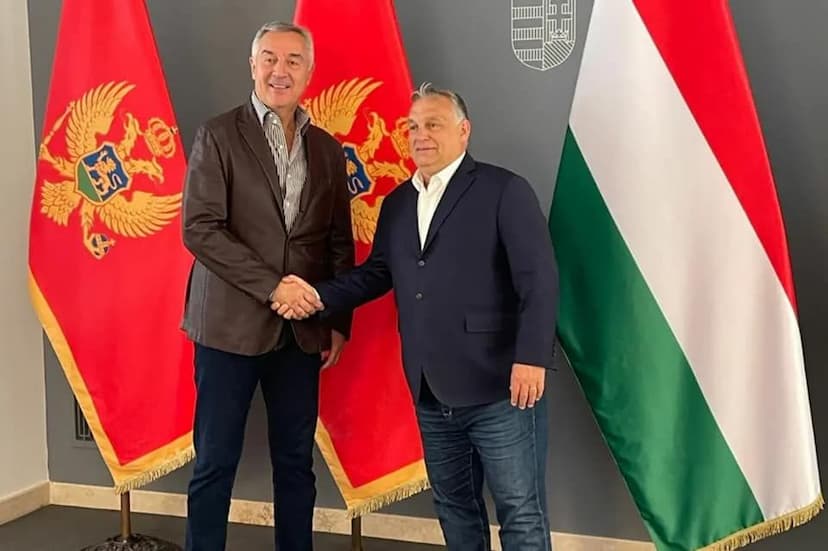 Predsjednik Đukanović, koji nezvanično boravi u Budimpešti, imao je susret sa premijerom Mađarske Viktorom Orbanom