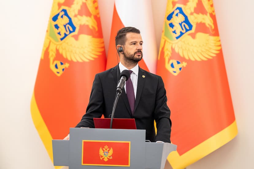 MILATOVIĆ POSLANICIMA: PODRŽITE IZMJENE USTAVA, EVROPSKU POSVEĆENOST POKAŽITE DJELIMA